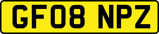 GF08NPZ