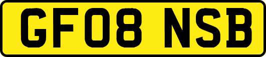 GF08NSB