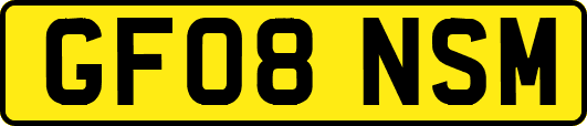 GF08NSM