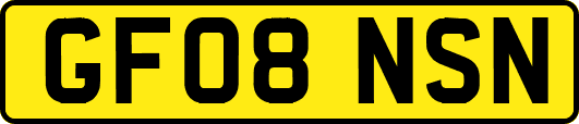 GF08NSN