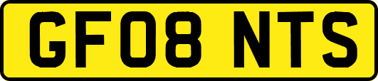 GF08NTS