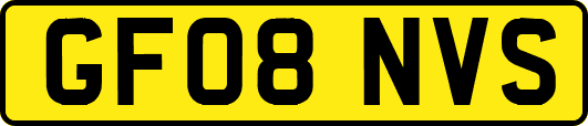 GF08NVS
