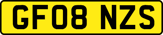 GF08NZS