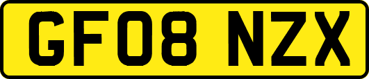 GF08NZX