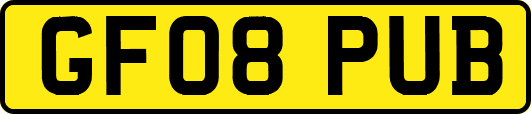 GF08PUB