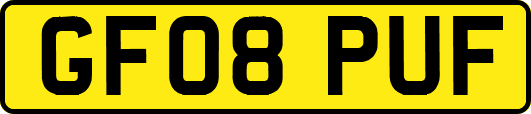GF08PUF
