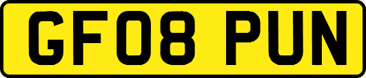 GF08PUN