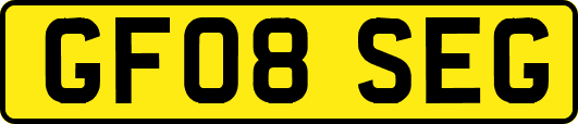 GF08SEG