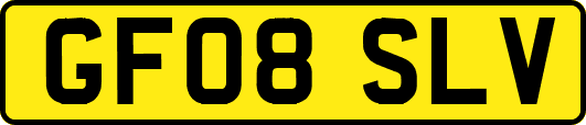 GF08SLV