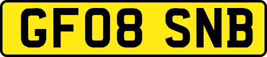 GF08SNB