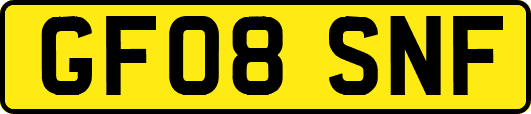 GF08SNF
