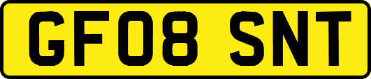 GF08SNT