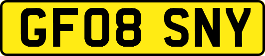 GF08SNY
