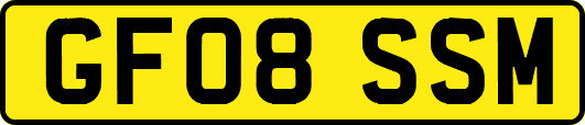 GF08SSM