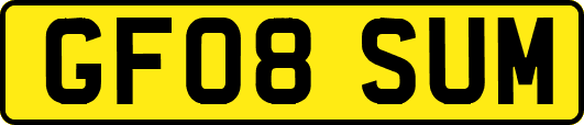 GF08SUM