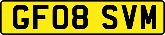 GF08SVM