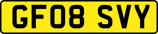 GF08SVY
