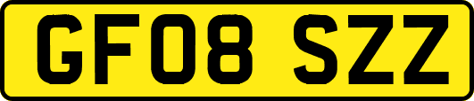 GF08SZZ