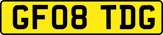 GF08TDG