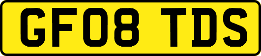 GF08TDS