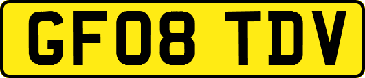 GF08TDV