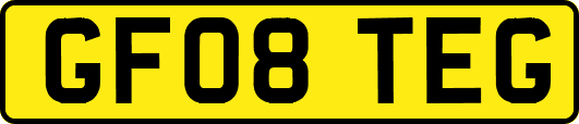 GF08TEG