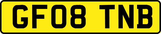 GF08TNB