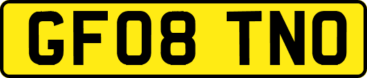 GF08TNO