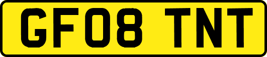 GF08TNT