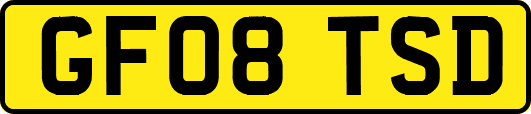 GF08TSD