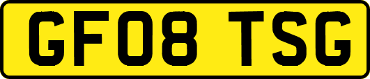 GF08TSG