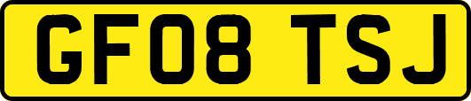 GF08TSJ