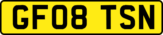 GF08TSN