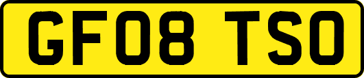 GF08TSO