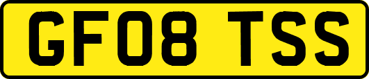 GF08TSS