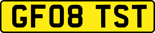 GF08TST