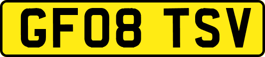 GF08TSV