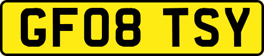 GF08TSY