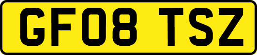 GF08TSZ
