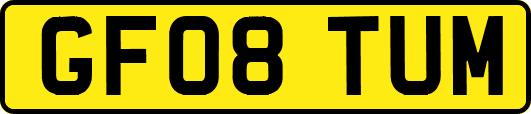 GF08TUM