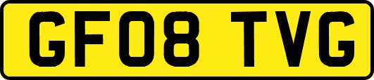 GF08TVG