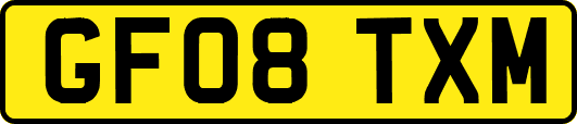 GF08TXM