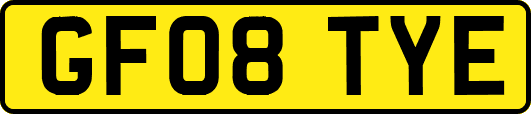 GF08TYE