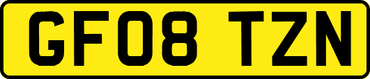GF08TZN