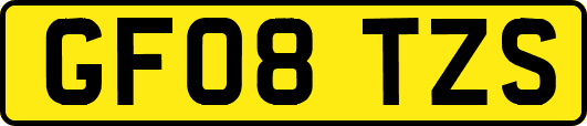GF08TZS