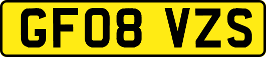 GF08VZS