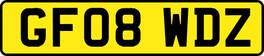 GF08WDZ