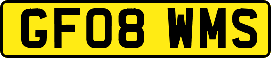 GF08WMS