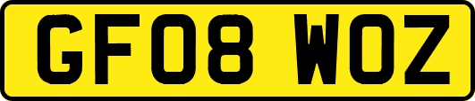 GF08WOZ