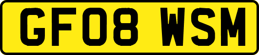 GF08WSM